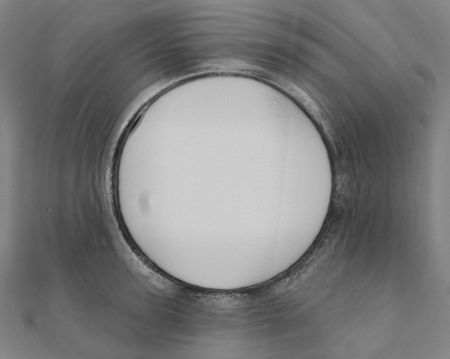 X0000111420947200908101053
