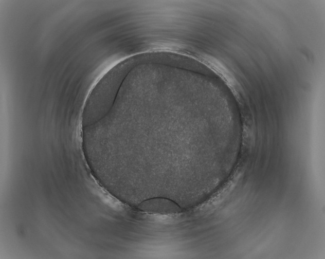 X0000111420948200908101053