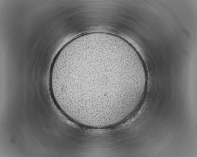 X0000111420949200908101053