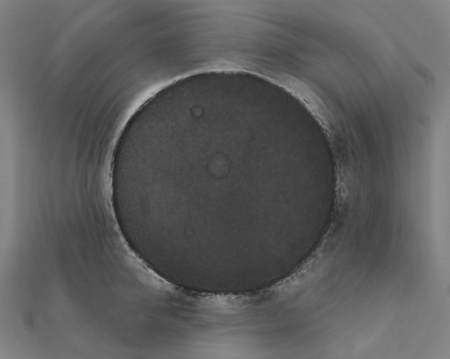 X0000111420950200908101053
