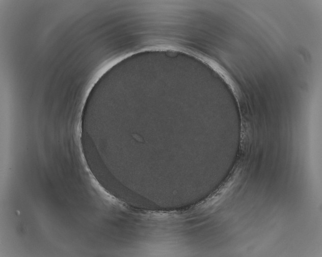 X0000111420951200908101053