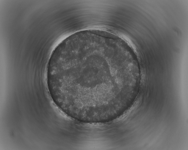 X0000111420952200908101053