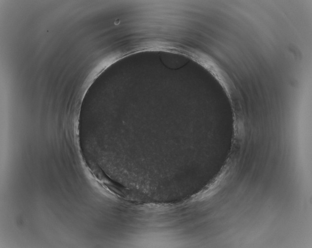 X0000111420954200908101053