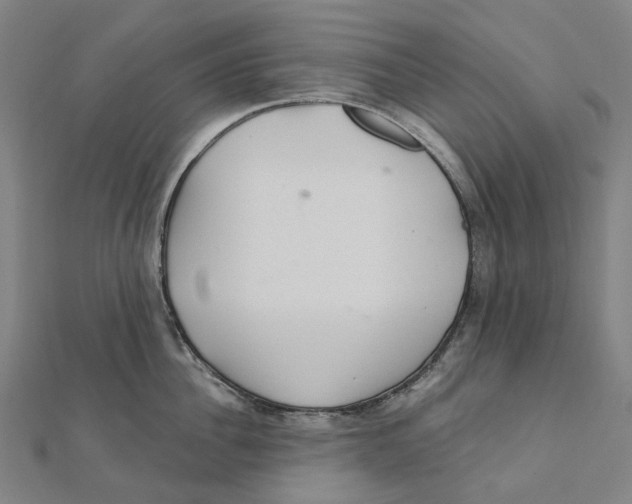 X0000111420956200908101053