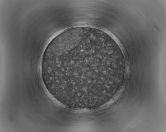 X0000111420957200908101053