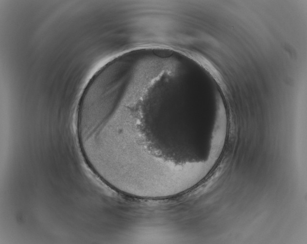 X0000111420958200908101053