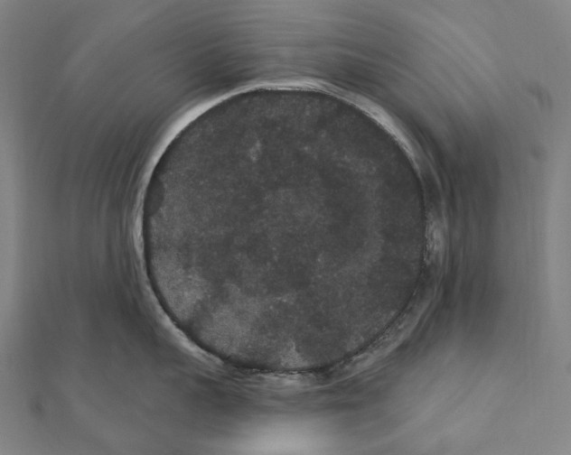 X0000111420959200908101053