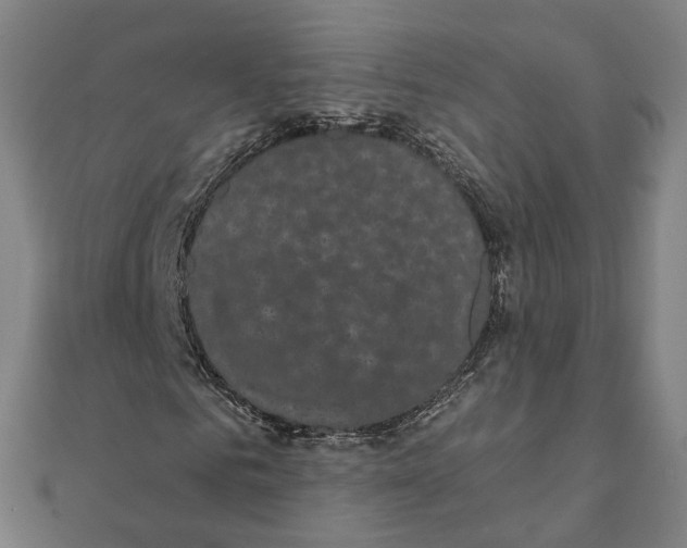 X0000111420961200908101052