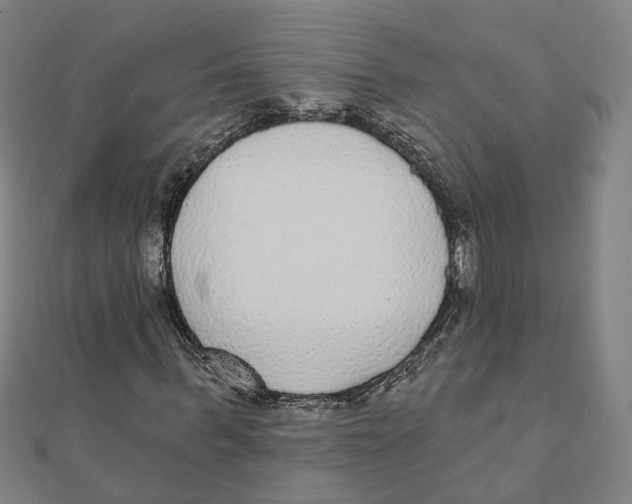 X0000111420963200908101052