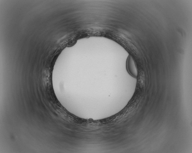X0000111420964200908101052