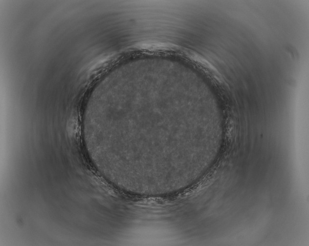 X0000111420966200908101052