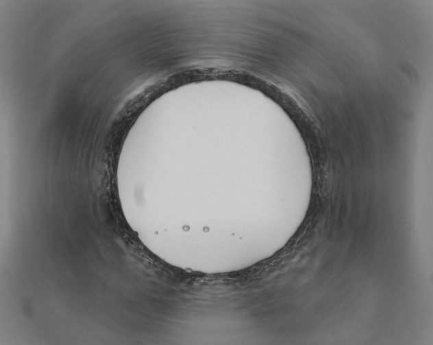X0000111420967200908101052