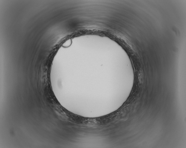 X0000111420968200908101052