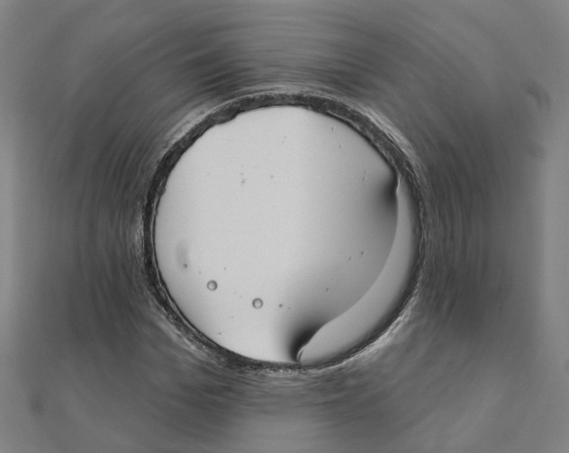 X0000111420969200908101052