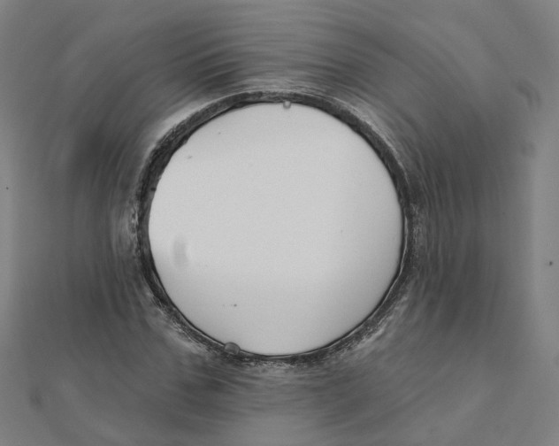 X0000111420971200908101052