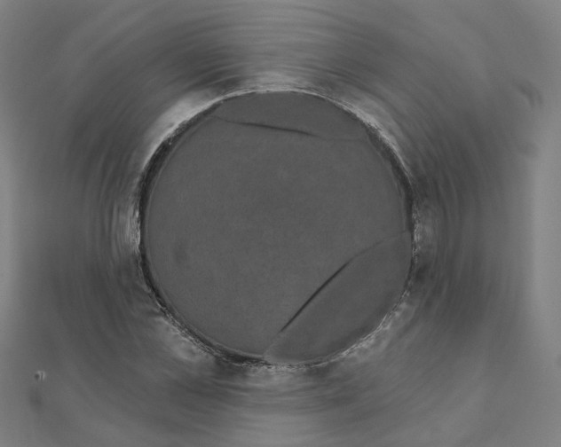 X0000111420973200908101052