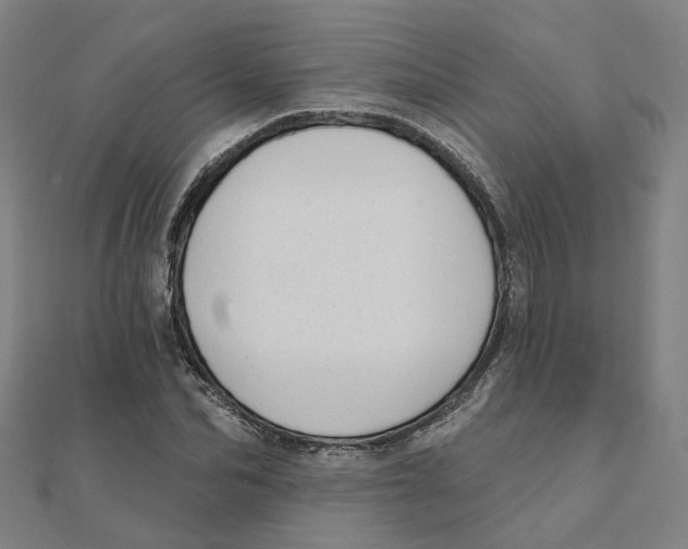 X0000111420974200908101052