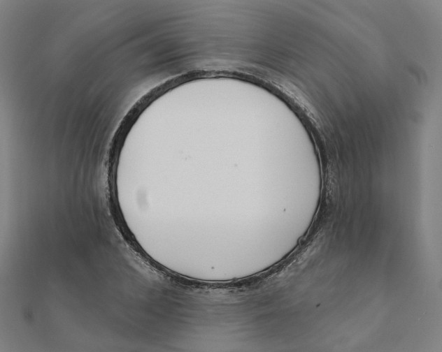 X0000111420976200908101052
