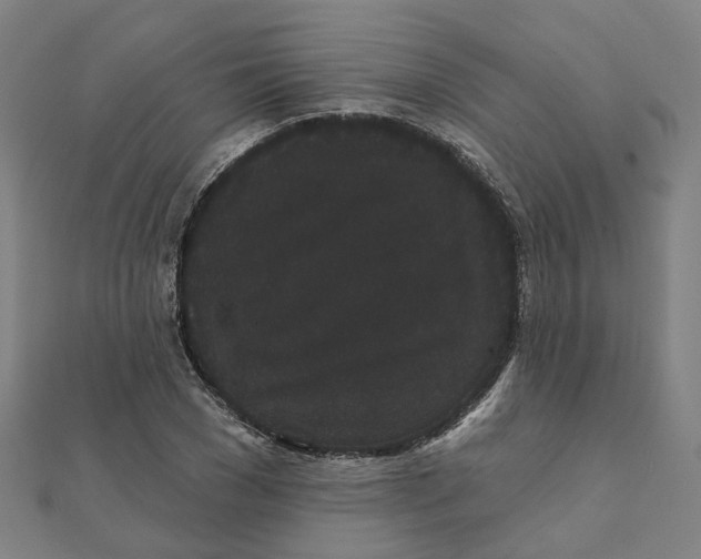 X0000111420977200908101052