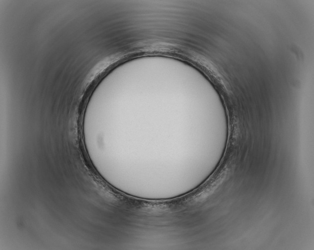 X0000111420978200908101052