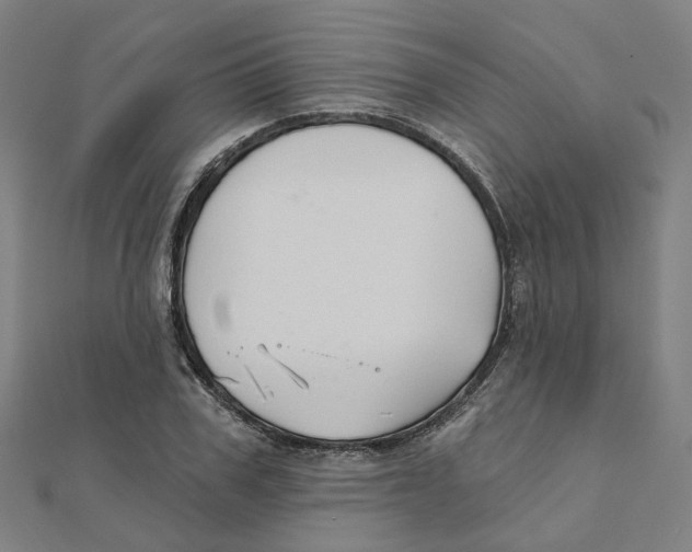 X0000111420979200908101052