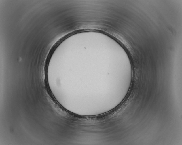 X0000111420980200908101052