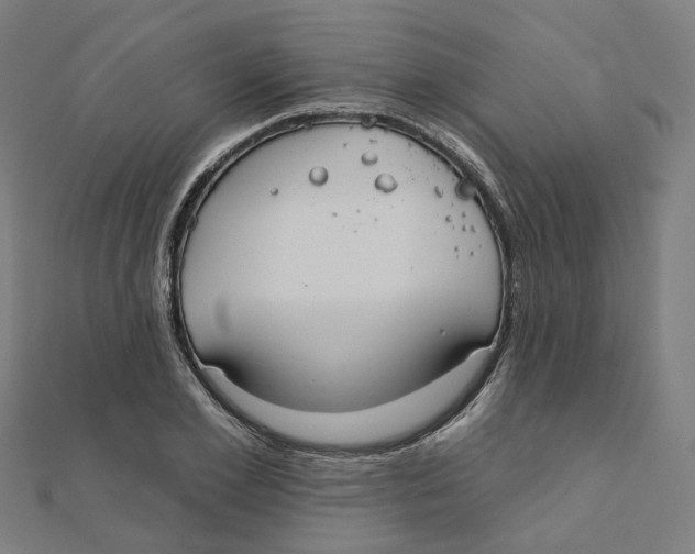 X0000111420981200908101052