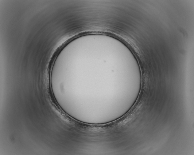 X0000111420982200908101052
