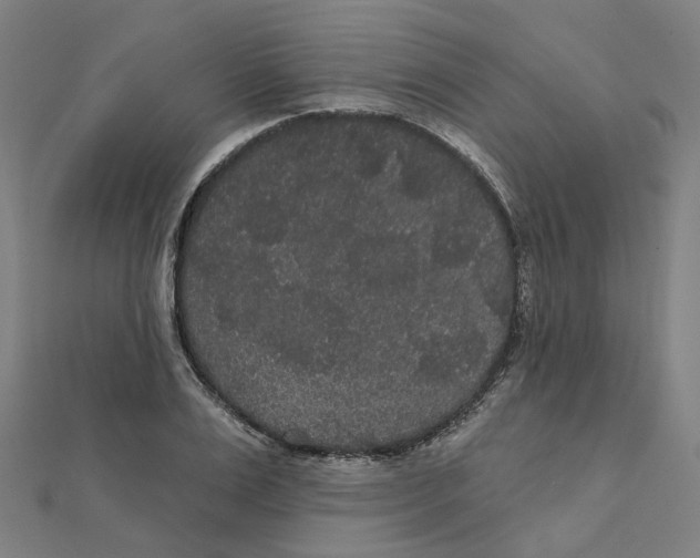 X0000111420983200908101052
