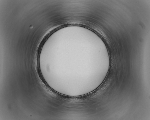 X0000111420984200908101052