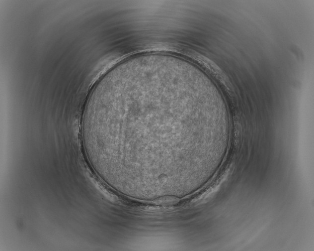 X0000111420985200908101052