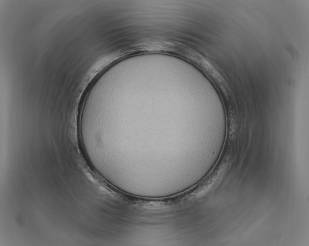 X0000111420986200908101052