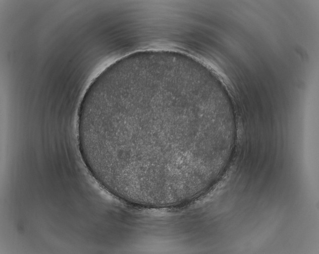 X0000111420990200908101052