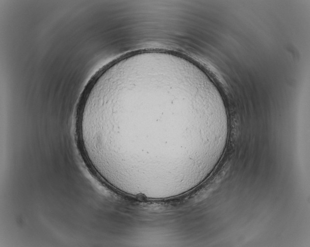 X0000111420991200908101052