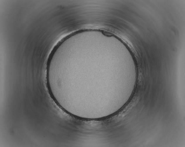 X0000111420992200908101052