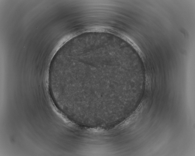 X0000111420994200908101052