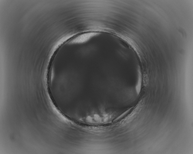 X0000111420995200908101052