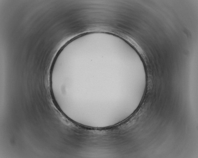 X0000111420996200908101052
