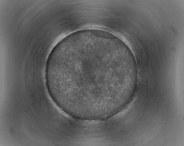 X0000111420997200908101052