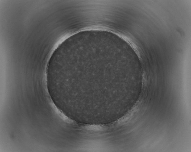 X0000111420998200908101052