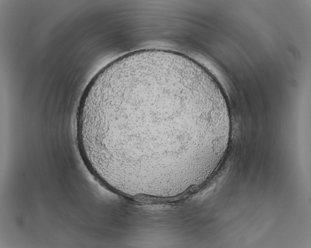 X0000111420999200908101052