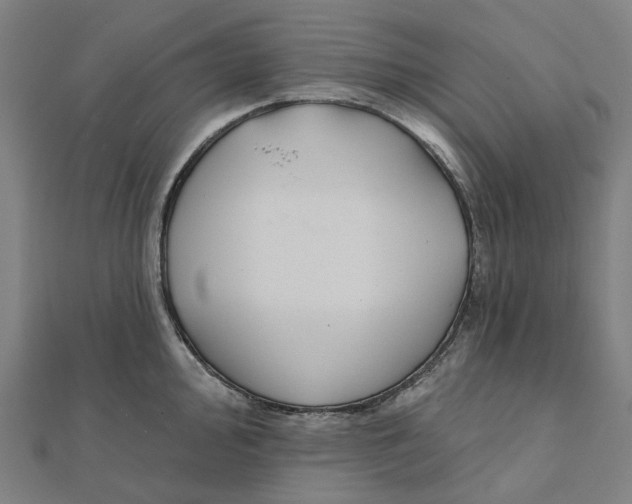 X0000111421000200908101052