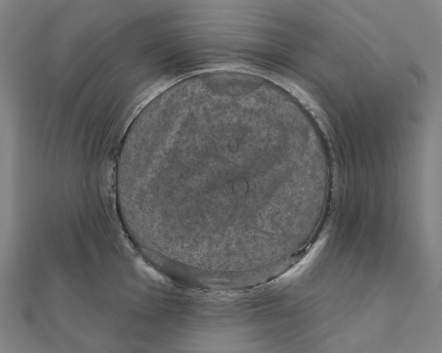 X0000111421001200908101052
