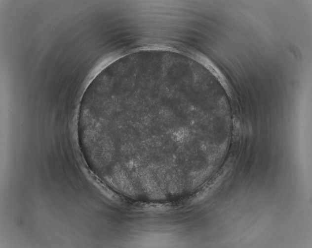 X0000111421002200908101052