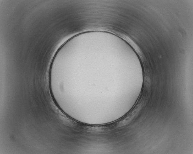 X0000111421004200908101052