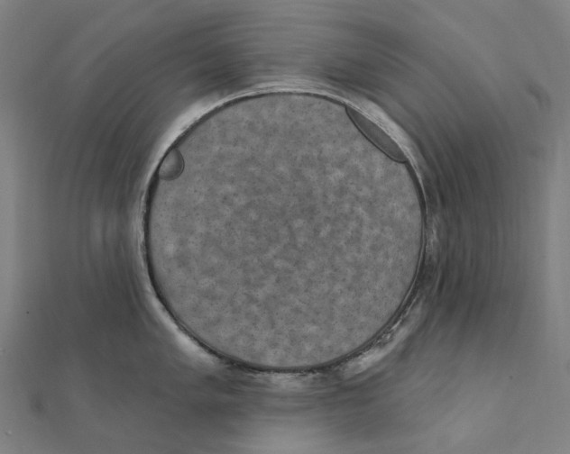 X0000111421005200908101052
