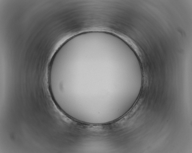 X0000111421006200908101052