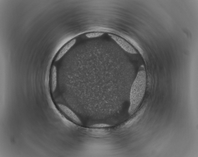 X0000111421007200908101052