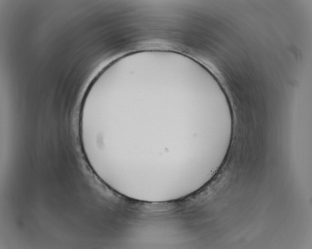 X0000111421008200908101052