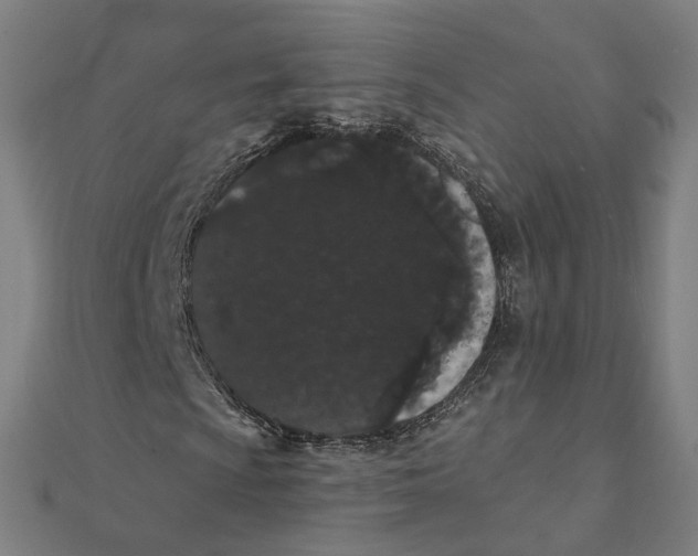 X0000111421009200908101051